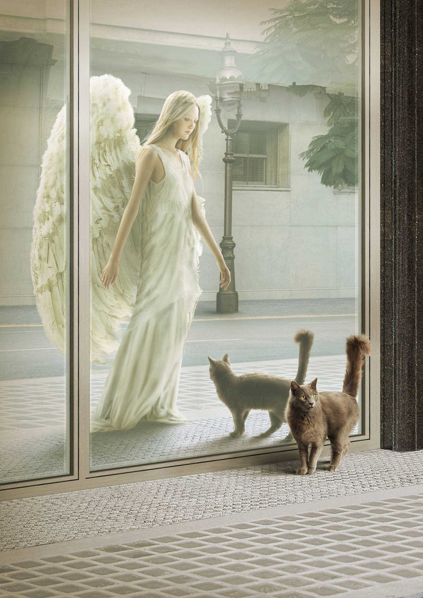 Pfizer - angel y gato reflejo